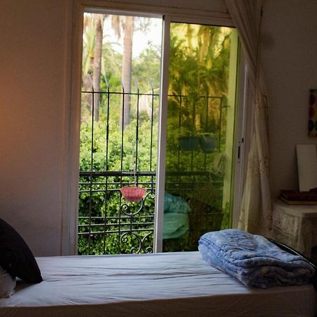 Chambre Du Jardin ラバト エクステリア 写真
